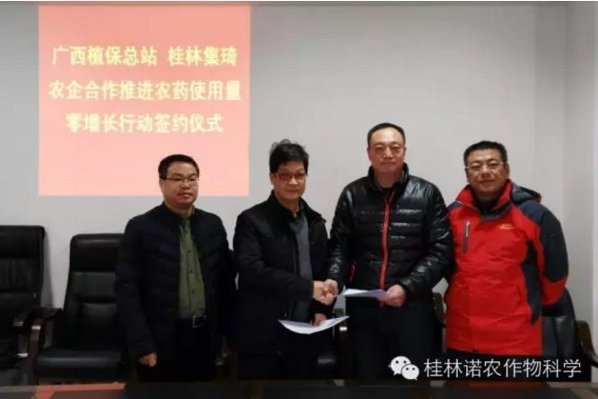 廣西植?？傉九c桂林集琦簽訂農藥零增長合作協議